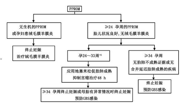 图片信息